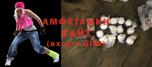 шишки Белокуриха