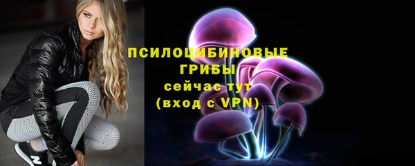 шишки Белокуриха
