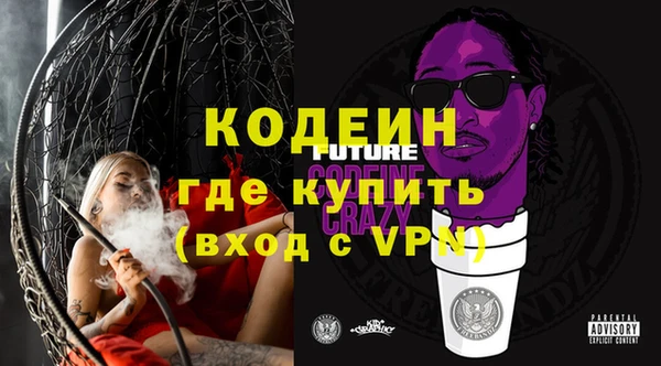 шишки Белокуриха
