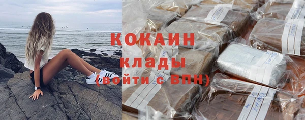 молекула духа Белоозёрский