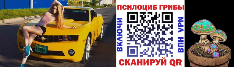 Галлюциногенные грибы Magic Shrooms Хилок